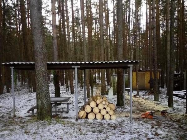 Спиливание деревьев - 2