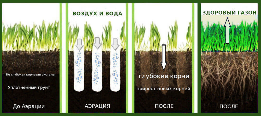 Аэрация газона - принцип действия